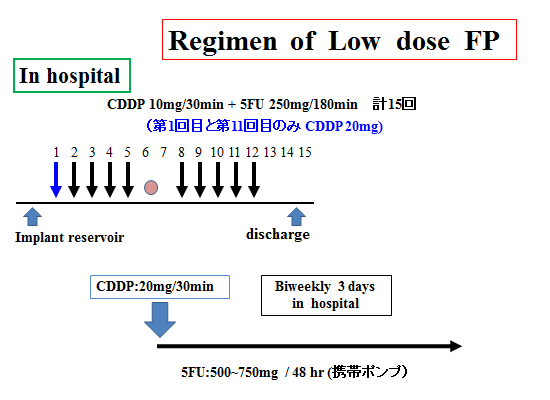 Low dose FP療法